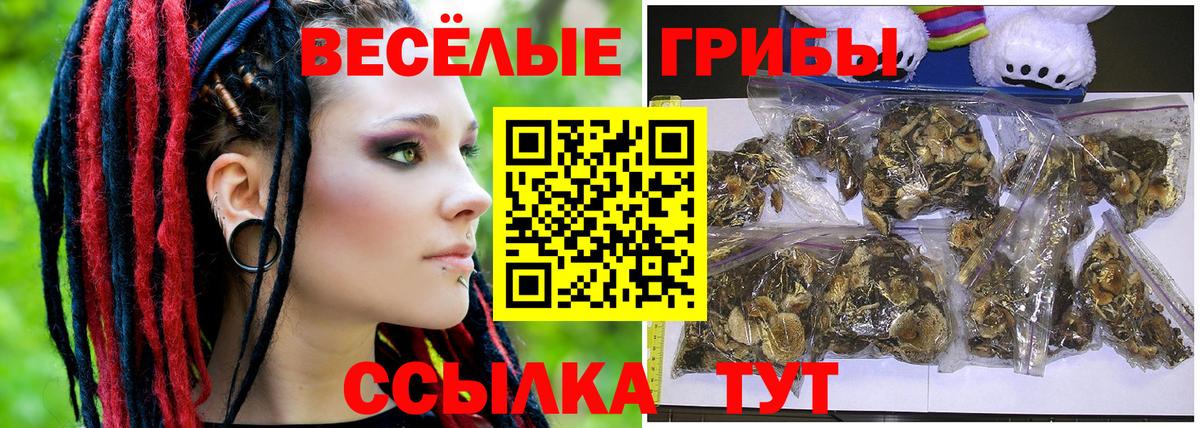 Псилоцибиновые грибы Psilocybe  Галлюциногенные грибы мицелий  Гусиноозёрск  Вход с VPN 
